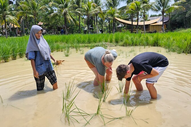Old Phuket Farm Ticket - Countryside Local Life Culture - Important Safety and Health Information