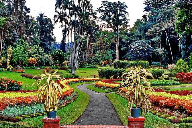 Private Day Tour Of Kandy From Galle and Bentota - Reservation Process