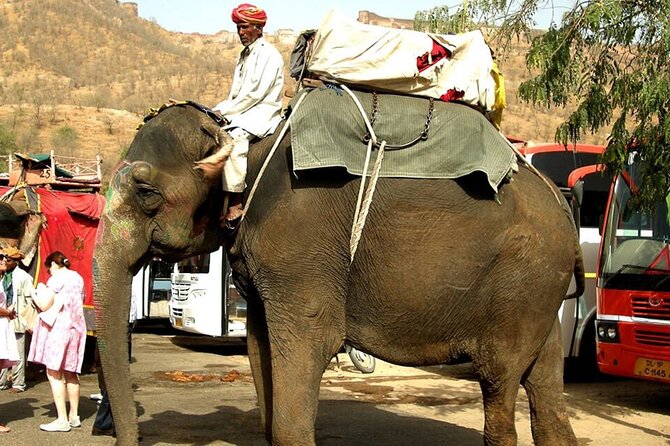 Private Rajasthan and Varanasi Tour in India by Car With a Driver - Assistance and Amenities