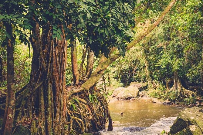 Private Tour in Phnom Kulen National Park - Tour Type