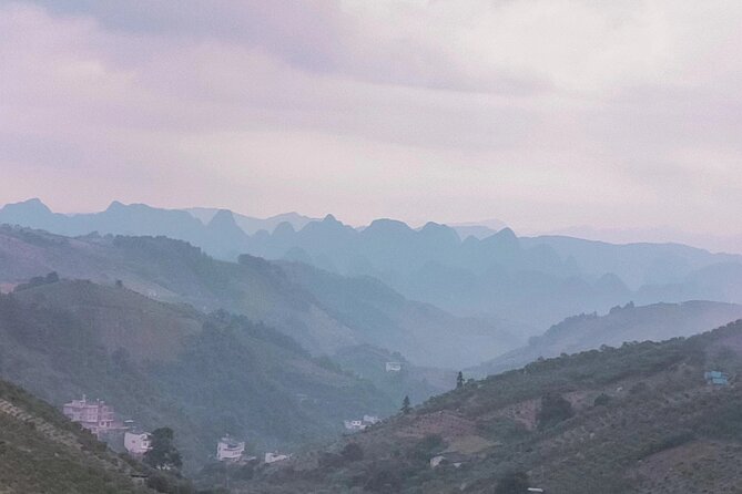 Qixianfeng Tea Plantation Tour in Yangshuo - The Sum Up