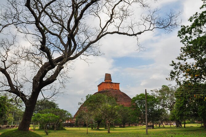 Sacred City of Anuradhapura From Dambulla - Booking Your Sacred City Tour