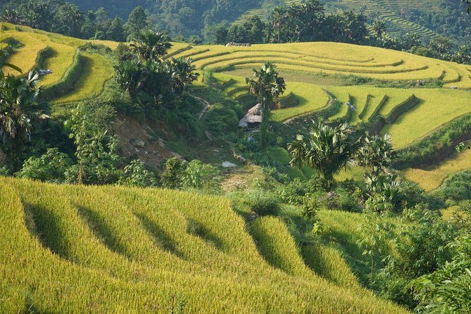 Sapa Loop With Easy Riders- 2 Days 1 Night - The Sum Up