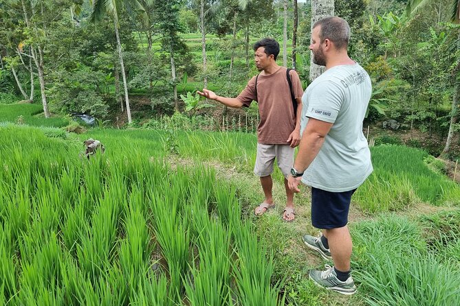 Sasak Traditional Stick Fight and Gendang Beleq Dance Tour - Restrictions and Recommendations