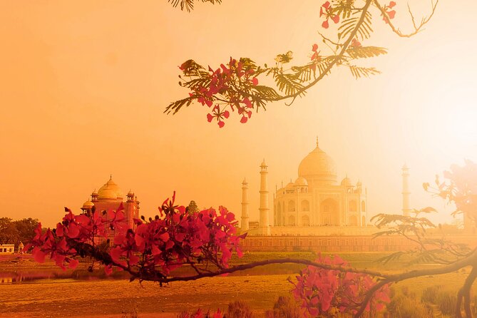 Shore Excursion Golden Triangle (Agra-Jaipur)Private Tour From Kochi/Chennai Etc - Transportation Information