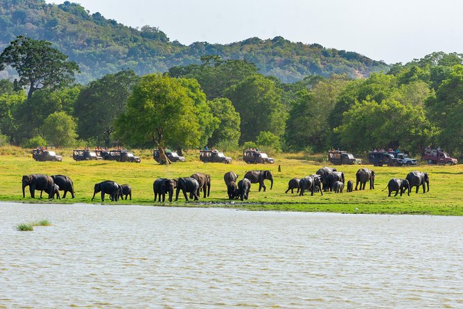 Sigiriya and Minneriya From Colombo (2 Days) - The Sum Up