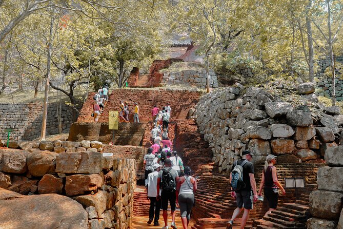 Sigiriya Rock and Wild Elephant Safari From Dambulla - Rural Village Experience