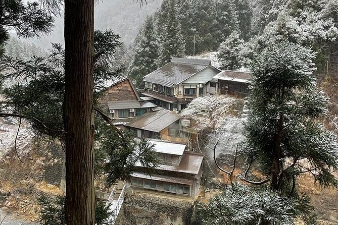 Snow Monkey and Zenkoji Temple Sake in Nagano Full Day Tour - The Sum Up