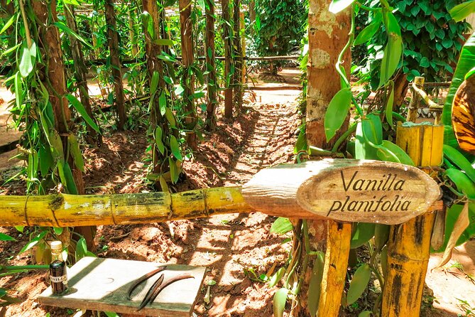Spice Garden Visit and Cookery Demonstration From Pinnawala - Directions for Visitors