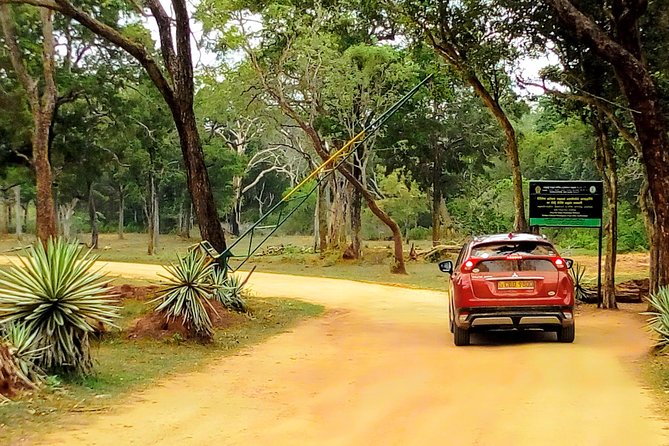 Sri Lanka Local Tours - Customized Tour Package, 10 Days - What to Expect Details