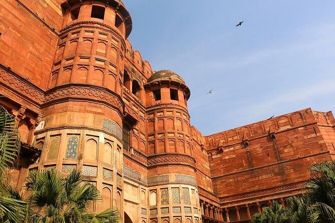 Sunrise Taj Mahal, Agra Fort, Akbars Tomb and Moonlit Garden Private Tour - Moonlit Garden Experience