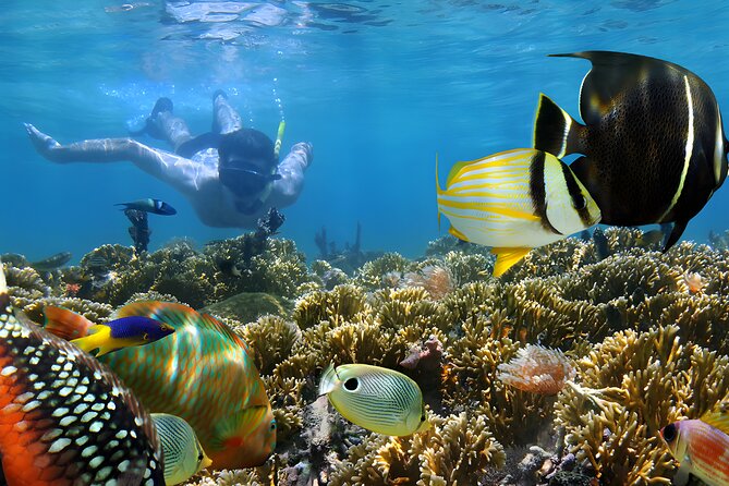 Tanjung Benoa Water Sports: All Inclusive Bali Activities - Accessibility and Attire