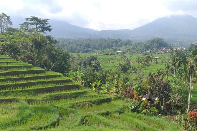 The World Heritage Site Private Tour - Flexible Booking Options