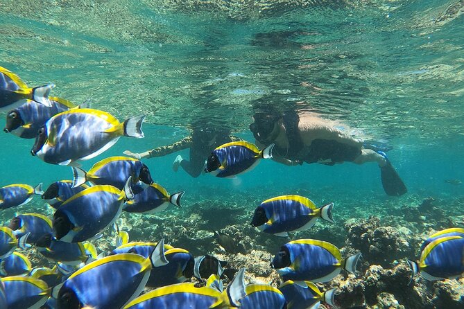 Trinco Tour a - Snorkeling & Island Hopping Tour - Frequently Asked Questions