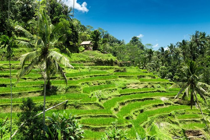 Ubud & Uluwatu Temple Sunset Tour With Kecak Dance - Payment and Cancellation Policy