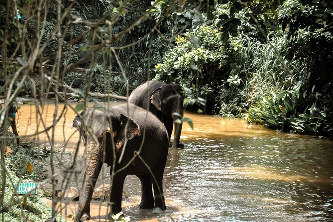 Urbanization to Nature (4 Days) - Tips for a Memorable Trip