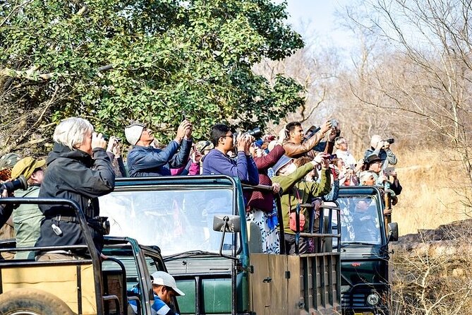 8-Day Private Transport for Golden Triangle Tour With Ranthambore