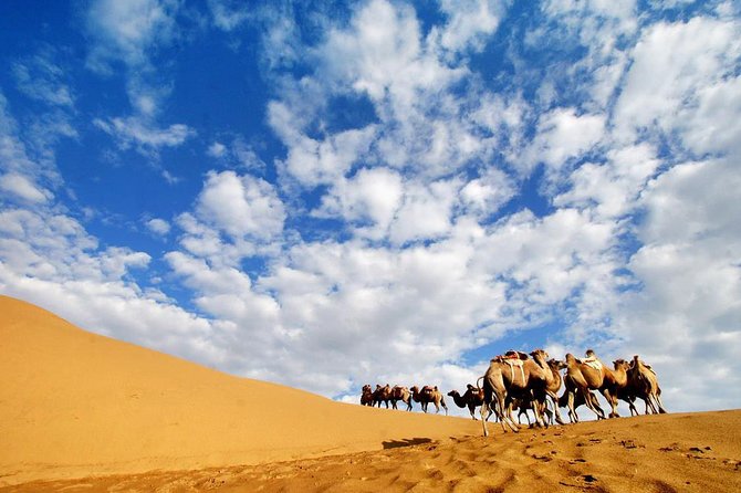 8-Day Tour Of Beijing, Huitengxile Grassland And Mausoleum of Genghis Khan - Accommodation and Transportation