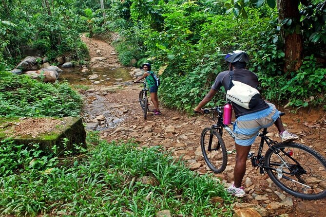 8 Days Private Vehicle With Driver Explore Srilanka By Your Own Plans - Tour Itinerary