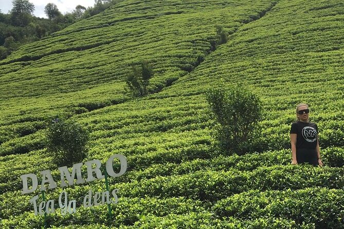 7 Days Private Tour From Sri Lanka - Private Transportation and Amenities