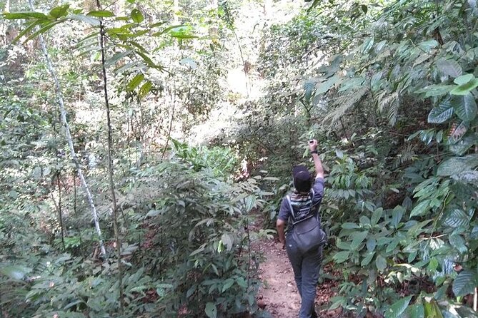 Forest Research Institute Malaysia FRIM Rainforest Private Tour - Frequently Asked Questions