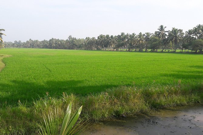Group Tour of Quaint Kerala Including Lunch With a Family or Local Restaurant - Directions and Logistics