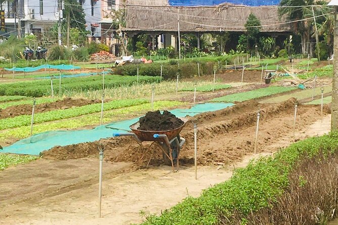 Hoi An Vegetable and Herb Village Private Tour - Directions and Additional Info