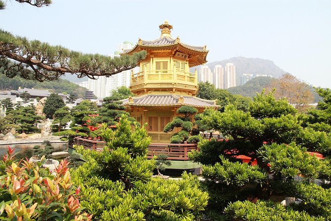 Hong Kong Layover Tour With a Local: 100% Personalized & Private - Frequently Asked Questions