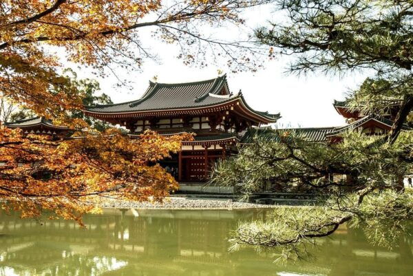 Kansai 10-Hour Chartered Day Trip｜Uji City - Important Policies to Know