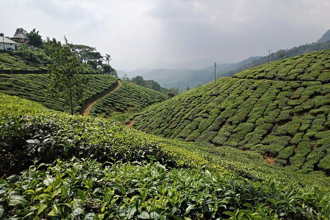 Kerala Backwater and Beach - Additional Notes