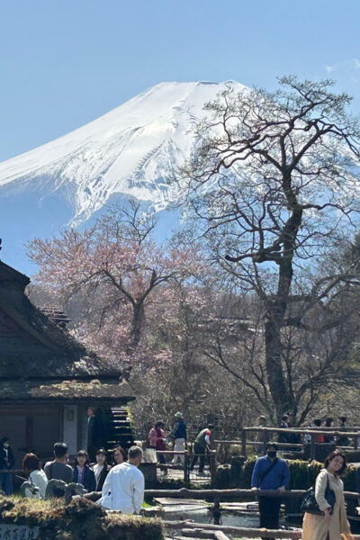 Mt.Fuji Tour, Tokyo / Yokohama ⇒ Tokyo, 2-4 Guests - Travel Tips for Guests