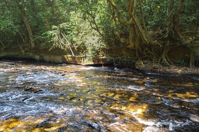 Private Tour in Phnom Kulen National Park - Operator Information
