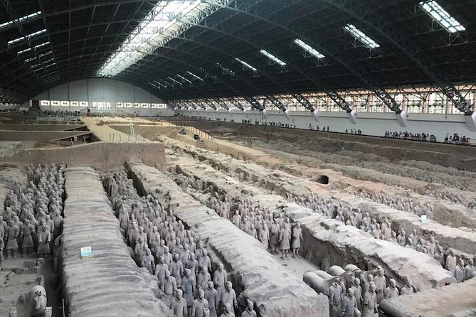 Private Xian Driver Service to Terracotta Army - The Sum Up