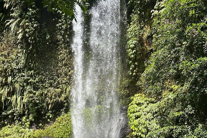 Sendang Gile And Tiu Kelep Waterfall Trekking Tour - Flexible Booking Policy