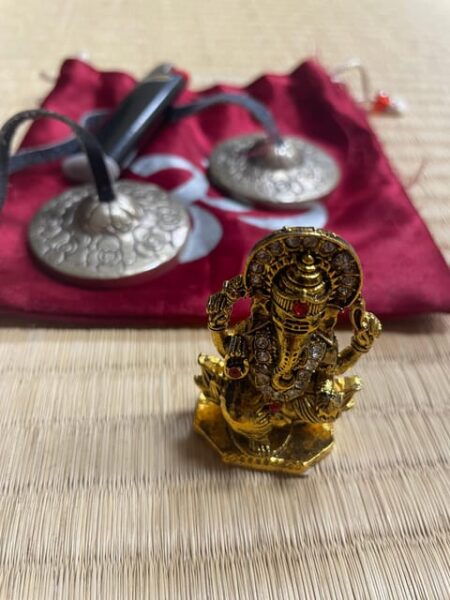 Tokyo: 1day Relaxing Guided Retreat for Solo-Trip Girls♡ - Pricing and Cancellation Policy