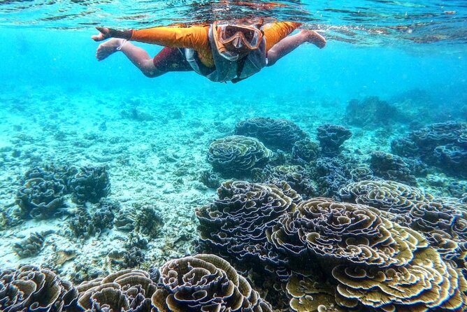 Ukulhas Tour D - Whale Shark Snorkeling & Coral Garden Tour - Cancellation Policy