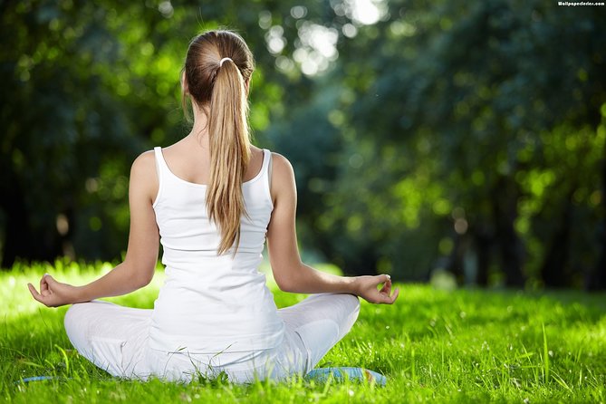 Yoga and Meditation Tour at Delhi on Private Basis - The Sum Up