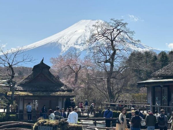 Mt.Fuji Tour, Tokyo / Yokohama ⇒ Tokyo, 2-4 Guests - Frequently Asked Questions