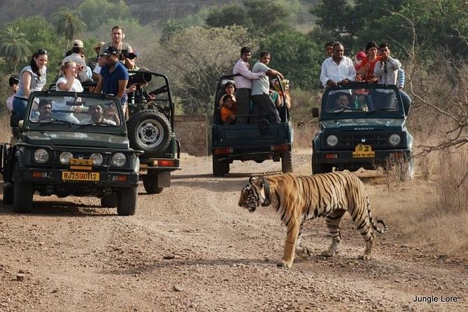 A Two Night Ranthambore National Park From Jaipur By Private Transfer - Good To Know