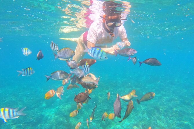 Bali Blue Lagoon Snorkeling With Optional Sightseeing - Good To Know