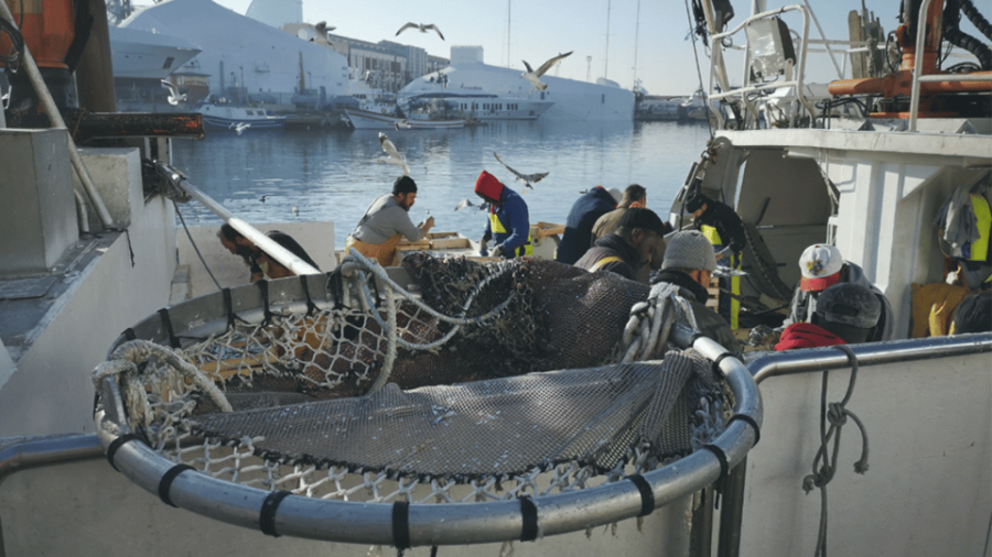 Barcelona Fishermens Guild Guided Tour - Tour Overview