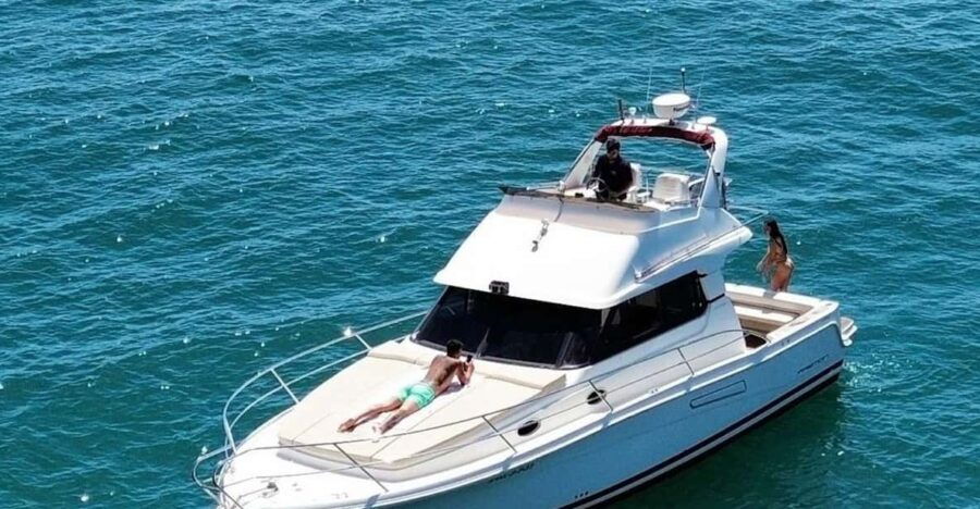 Benalmadena: Dolphin Watching a Yacht With Snacks and Drinks