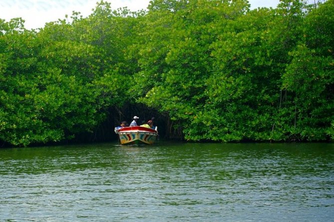 Bentota City Tour From Dikwella - Tour Highlights