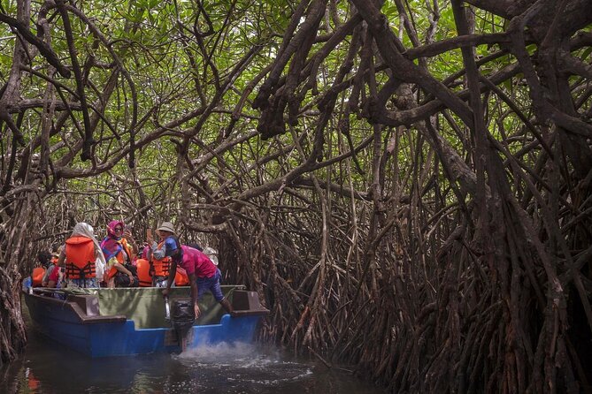 Bentota ~ Special Private Guide Day Tour; Solo ;Couple ;Group - Good To Know