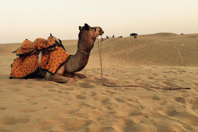 Best of Golden City JAISALAMER Tour - Good To Know