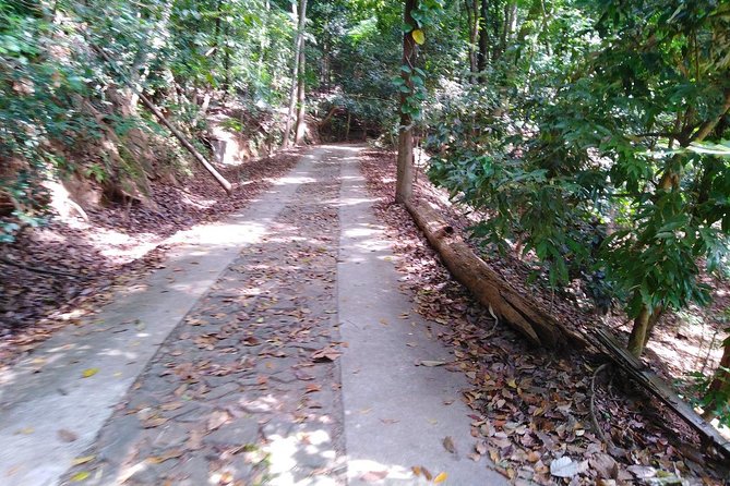 Bird Watching & Trekking in Udawattekele Sanctuary From Kandy - Good To Know