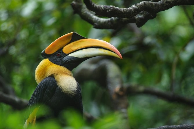 Birdwatching Trek in Anawilundawa Sanctuary From Colombo - Good To Know