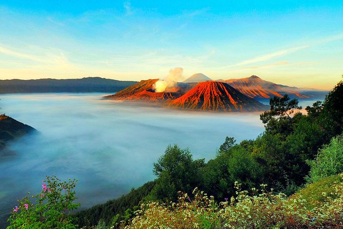 Bromo Tour Package: Midnight Bromo Open Trip From Batu - Good To Know