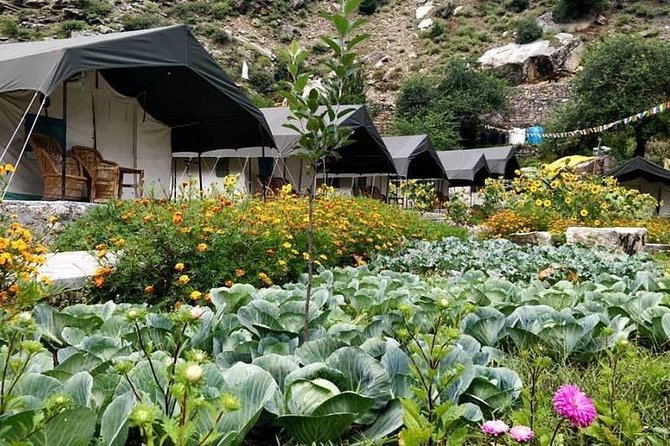 Camping in Sangla (1n2d) - Good To Know