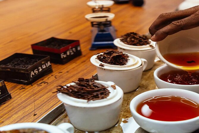 Ceylon Tea Tasting From Galle - Tour Overview